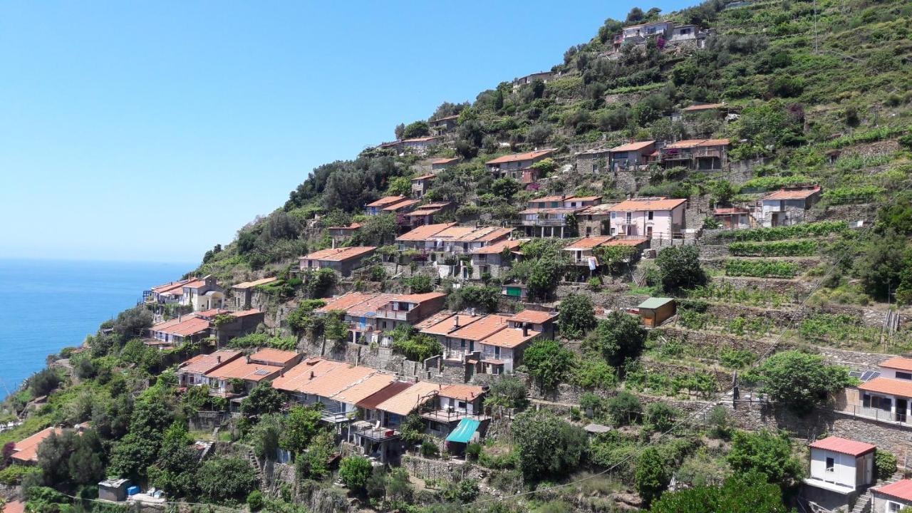 Ferienhaus Casa A Picco Sul Mare 5 Terre Campiglia (Liguria)