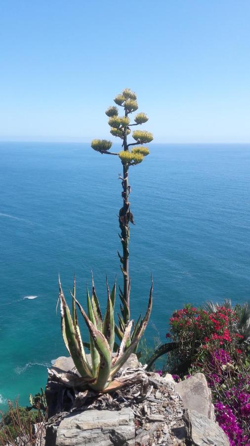 Casa A Picco Sul Mare 5 Terre Holiday home Campiglia (Liguria)