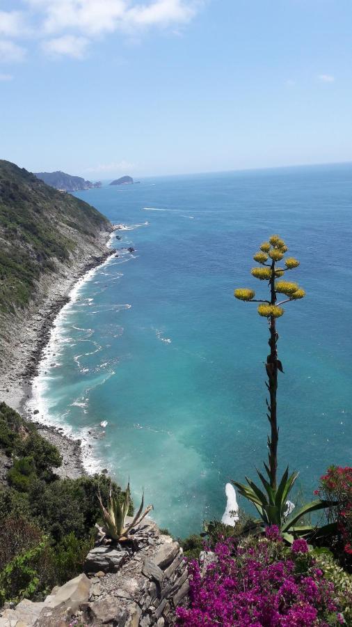 Holiday home Casa A Picco Sul Mare 5 Terre