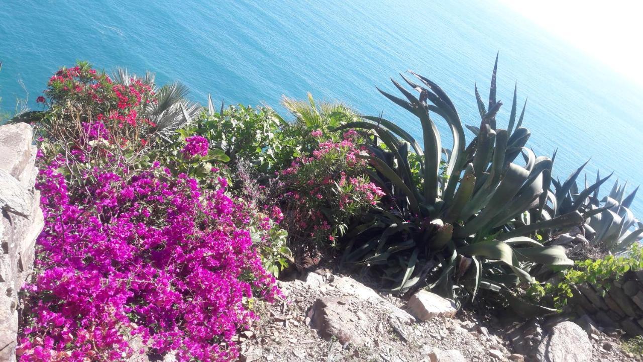 Ferienhaus Casa A Picco Sul Mare 5 Terre *