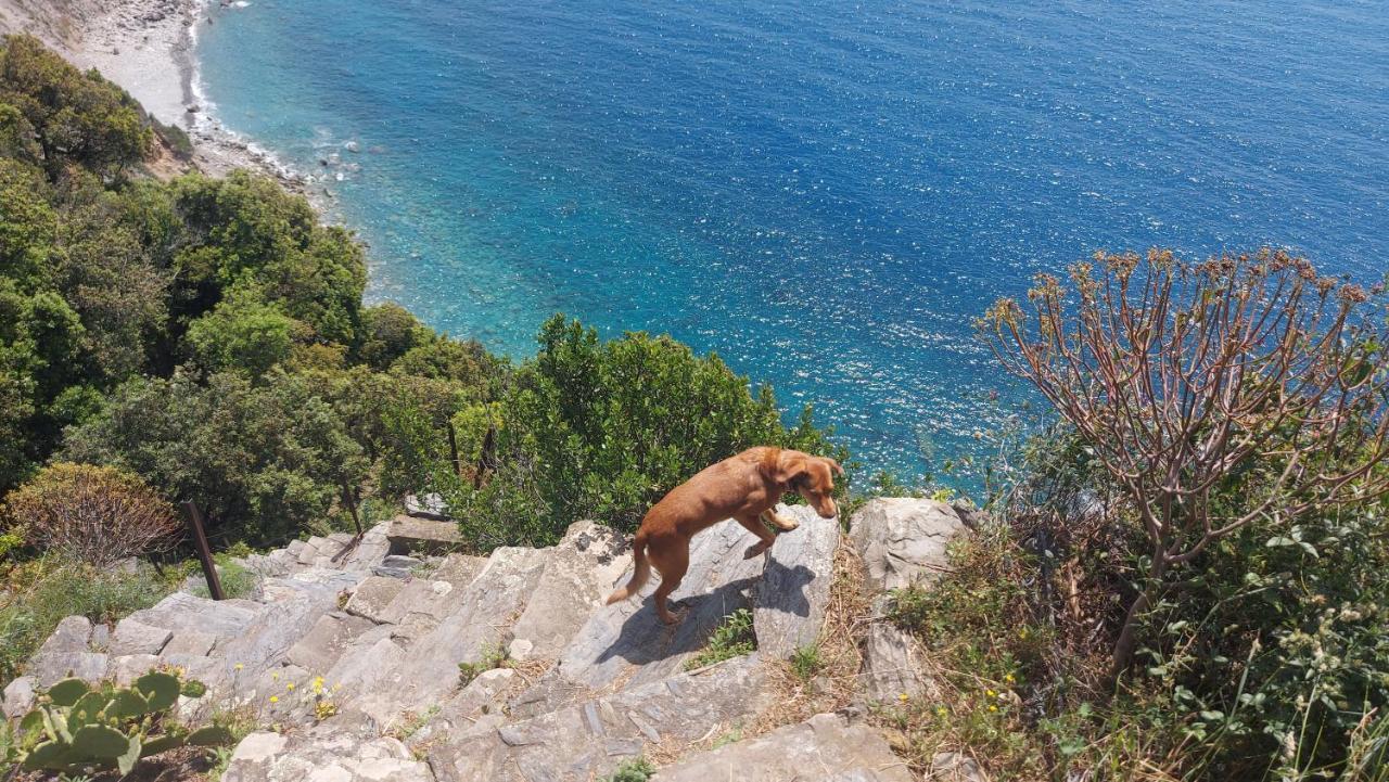 Casa A Picco Sul Mare 5 Terre Campiglia (Liguria)